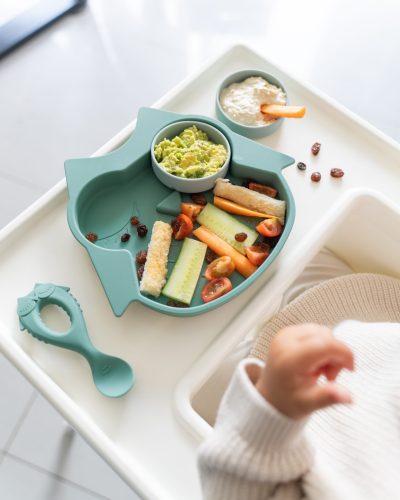 Plates with food Lifetsyle_no bib 2
